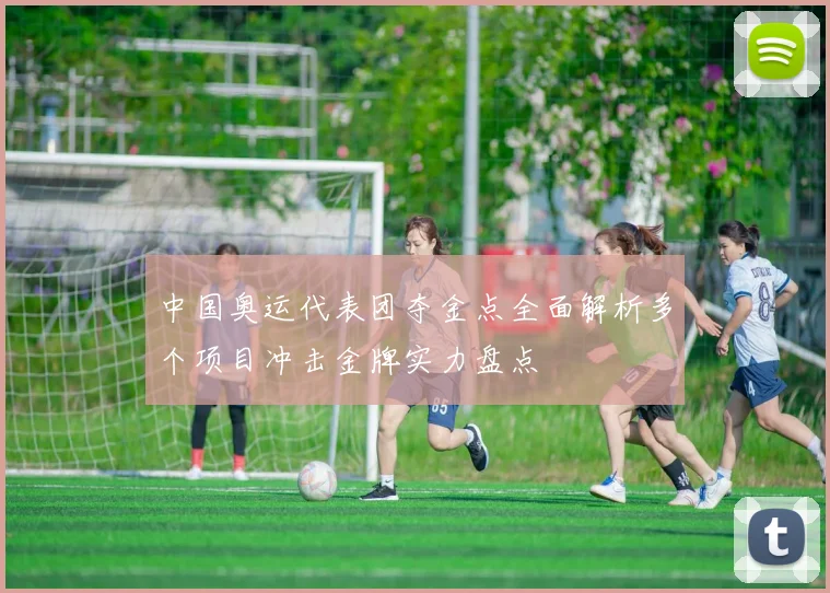中国奥运代表团夺金点全面解析多个项目冲击金牌实力盘点