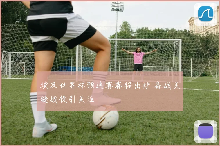 埃及世界杯预选赛赛程出炉 备战关键战役引关注