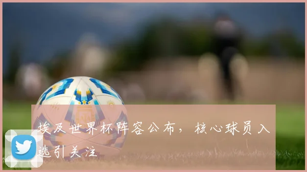 埃及世界杯阵容公布，核心球员入选引关注