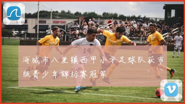 海城市八里镇西甲小学足球队获市级青少年锦标赛冠军