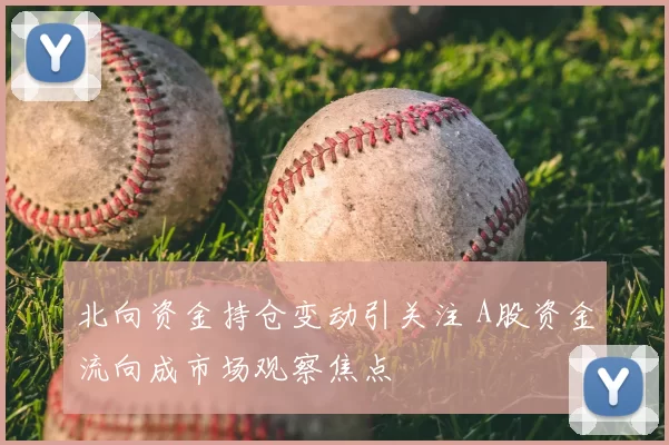 北向资金持仓变动引关注 A股资金流向成市场观察焦点