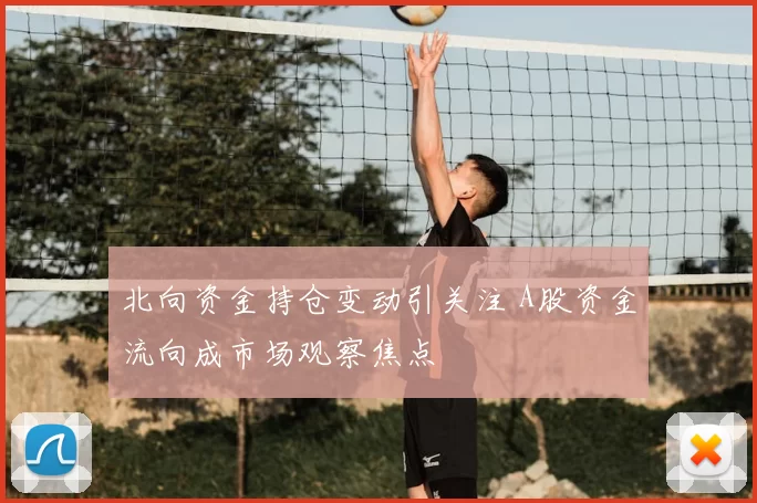 北向资金持仓变动引关注 A股资金流向成市场观察焦点